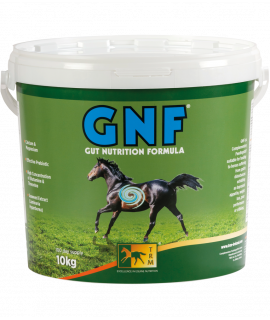 GNF TRM nutrition intestinale